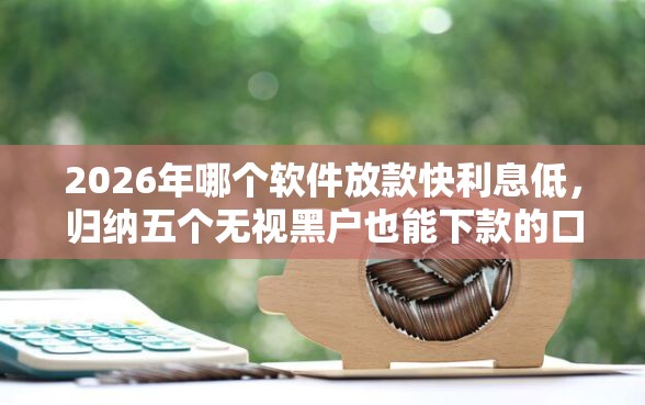 2026年哪个软件放款快利息低，归纳五个无视黑户也能下款的口子