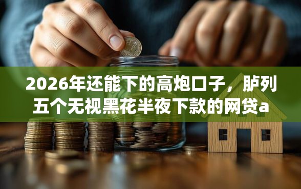 2026年还能下的高炮口子，胪列五个无视黑花半夜下款的网贷app