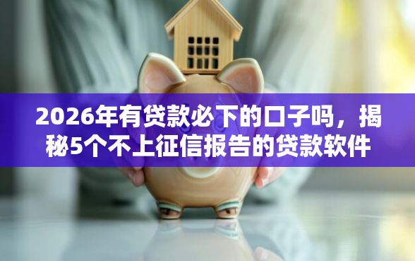 2026年有贷款必下的口子吗，揭秘5个不上征信报告的贷款软件