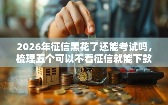 2026年征信黑花了还能考试吗，梳理五个可以不看征信就能下款的平台