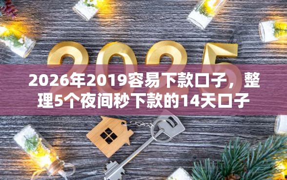 2026年2019容易下款口子，整理5个夜间秒下款的14天口子