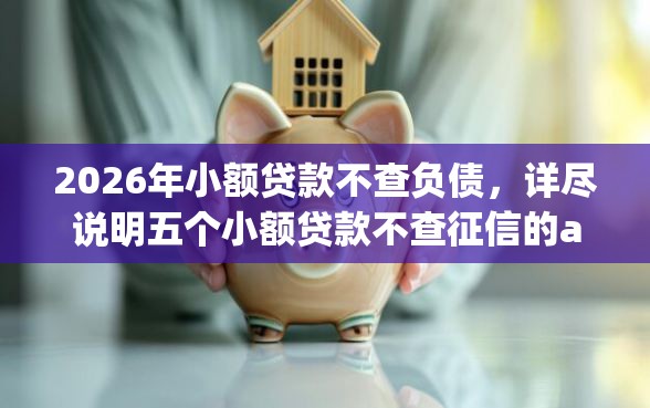 2026年小额贷款不查负债，详尽说明五个小额贷款不查征信的app