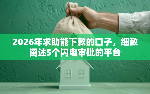 2026年求助能下款的口子，细致阐述5个闪电审批的平台