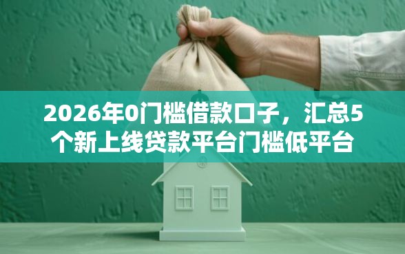 2026年0门槛借款口子，汇总5个新上线贷款平台门槛低平台