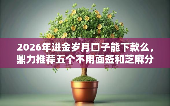 2026年进金岁月口子能下款么，鼎力推荐五个不用面签和芝麻分的贷款口子