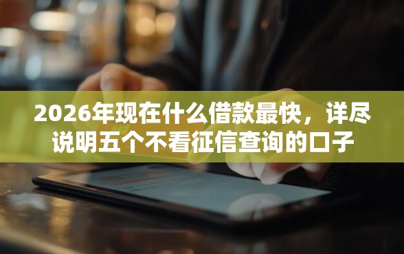 2026年现在什么借款最快，详尽说明五个不看征信查询的口子