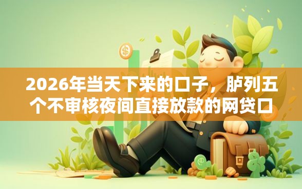 2026年当天下来的口子，胪列五个不审核夜间直接放款的网贷口子