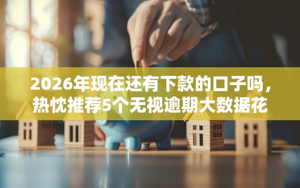 2026年现在还有下款的口子吗，热忱推荐5个无视逾期大数据花户黑户口子