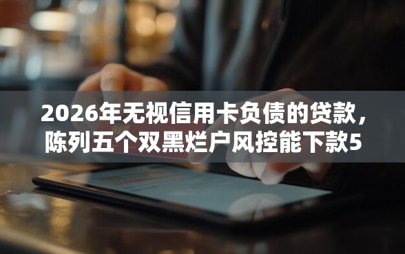 2026年无视信用卡负债的贷款，陈列五个双黑烂户风控能下款5000口子
