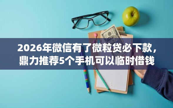 2026年微信有了微粒贷必下款，鼎力推荐5个手机可以临时借钱的app