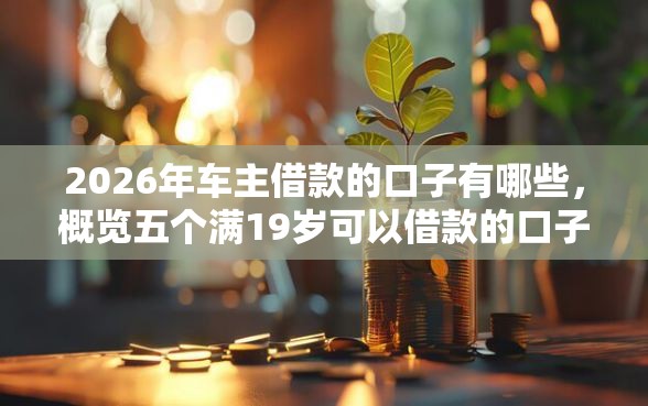 2026年车主借款的口子有哪些，概览五个满19岁可以借款的口子
