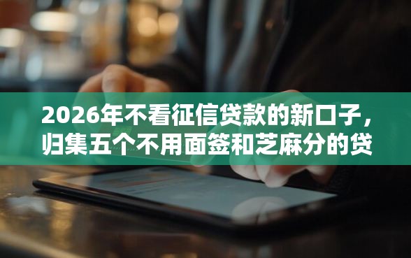 2026年不看征信贷款的新口子，归集五个不用面签和芝麻分的贷款软件