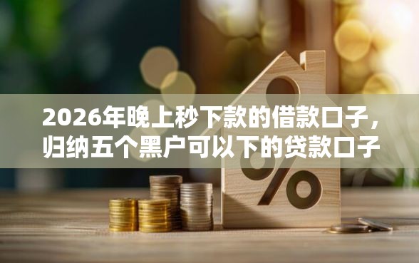 2026年晚上秒下款的借款口子，归纳五个黑户可以下的贷款口子
