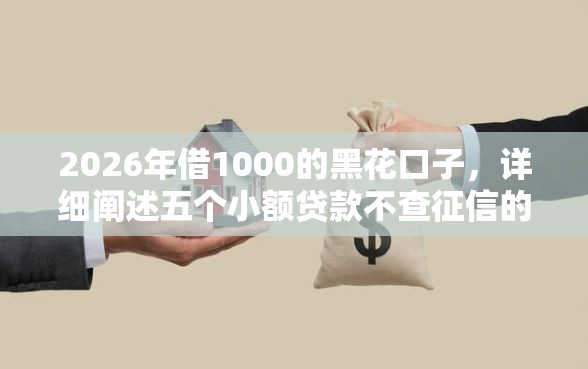 2026年借1000的黑花口子，详细阐述五个小额贷款不查征信的软件