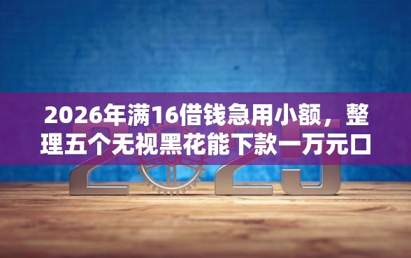 2026年满16借钱急用小额，整理五个无视黑花能下款一万元口子