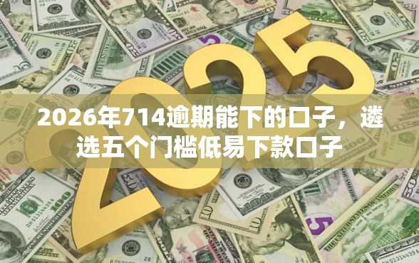 2026年714逾期能下的口子，遴选五个门槛低易下款口子