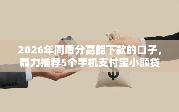 2026年同盾分高能下款的口子，鼎力推荐5个手机支付宝小额贷款的平台