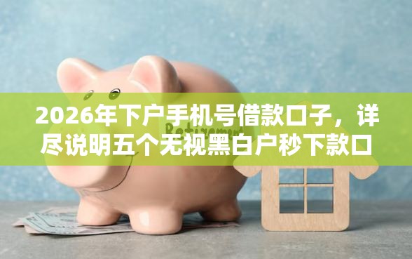 2026年下户手机号借款口子，详尽说明五个无视黑白户秒下款口子平台