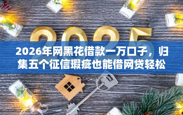 2026年网黑花借款一万口子，归集五个征信瑕疵也能借网贷轻松下款的口子
