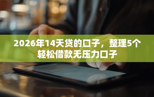 2026年14天贷的口子，整理5个轻松借款无压力口子