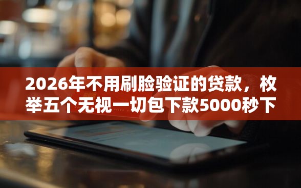 2026年不用刷脸验证的贷款，枚举五个无视一切包下款5000秒下款的软件
