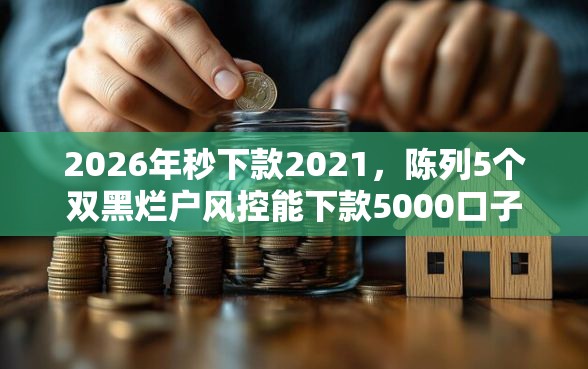 2026年秒下款2021，陈列5个双黑烂户风控能下款5000口子