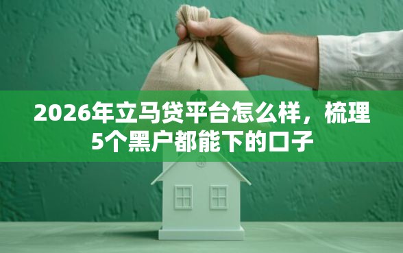 2026年立马贷平台怎么样，梳理5个黑户都能下的口子