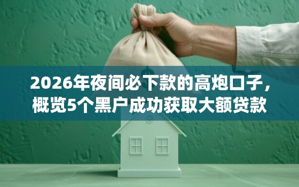2026年夜间必下款的高炮口子，概览5个黑户成功获取大额贷款的app