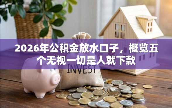 2026年公积金放水口子，概览五个无视一切是人就下款