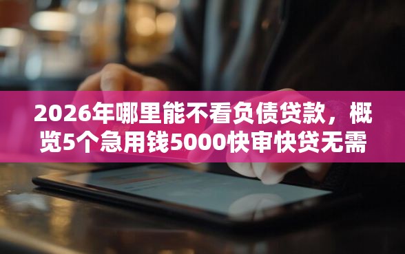 2026年哪里能不看负债贷款,概览5个急用钱5000快审快贷无需征信口子 2026年哪里能不看负债贷款,概览5个急用钱5000快审快贷无需征信口子