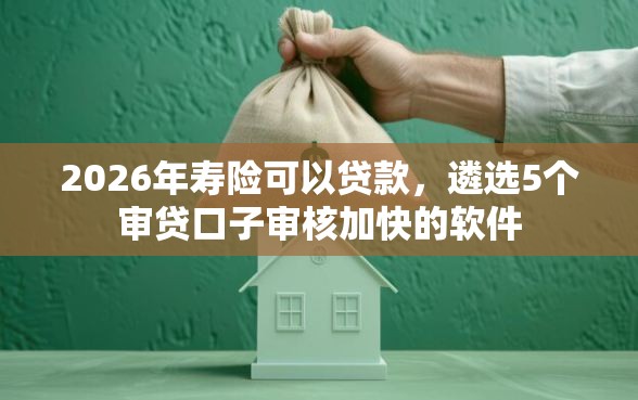 2026年寿险可以贷款，遴选5个审贷口子审核加快的软件