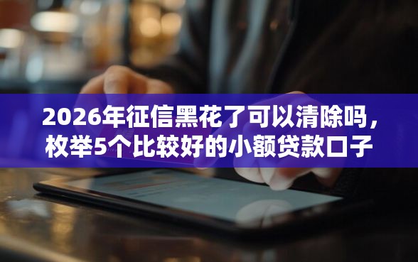 2026年征信黑花了可以清除吗，枚举5个比较好的小额贷款口子