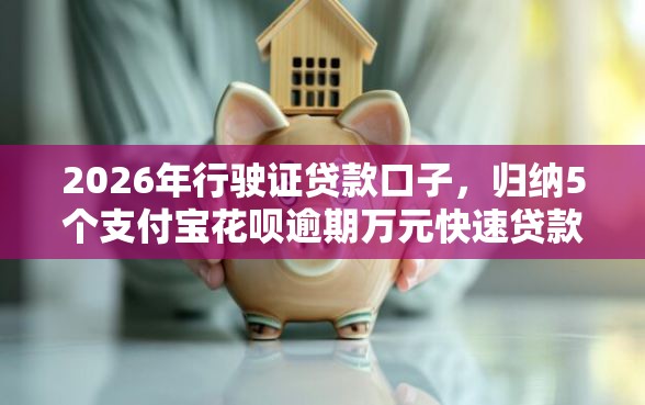 2026年行驶证贷款口子，归纳5个支付宝花呗逾期万元快速贷款口子