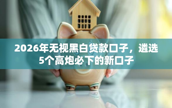 2026年无视黑白贷款口子，遴选5个高炮必下的新口子