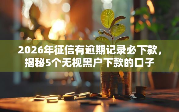 2026年征信有逾期记录必下款，揭秘5个无视黑户下款的口子