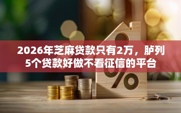 2026年芝麻贷款只有2万，胪列5个贷款好做不看征信的平台