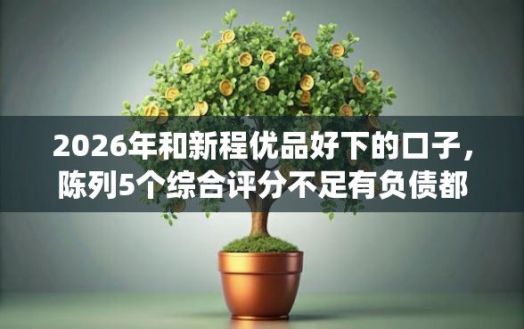 2026年和新程优品好下的口子，陈列5个综合评分不足有负债都能下款app