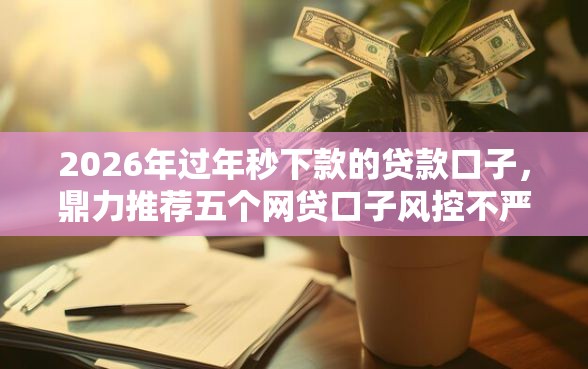 2026年过年秒下款的贷款口子，鼎力推荐五个网贷口子风控不严的平台