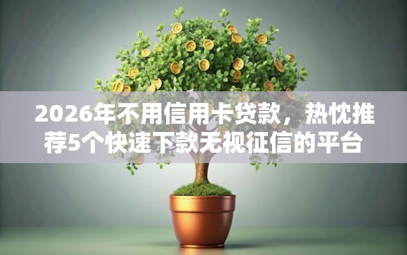 2026年不用信用卡贷款，热忱推荐5个快速下款无视征信的平台