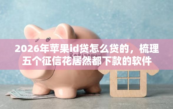 2026年苹果id贷怎么贷的，梳理五个征信花居然都下款的软件