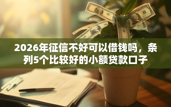 2026年征信不好可以借钱吗，条列5个比较好的小额贷款口子