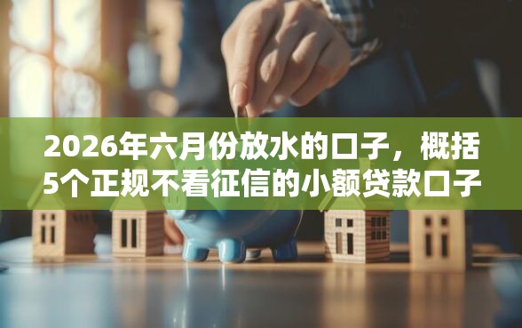 2026年六月份放水的口子，概括5个正规不看征信的小额贷款口子