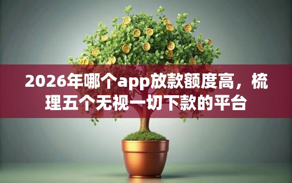 2026年哪个app放款额度高，梳理五个无视一切下款的平台