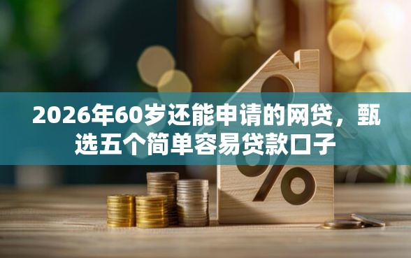 2026年60岁还能申请的网贷，甄选五个简单容易贷款口子