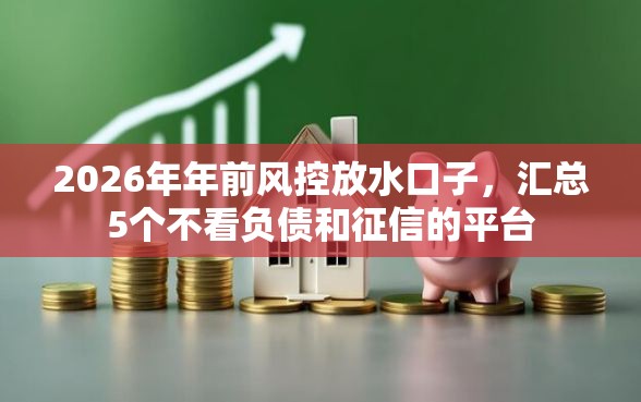 2026年年前风控放水口子，汇总5个不看负债和征信的平台