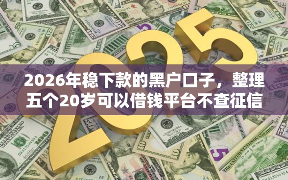2026年稳下款的黑户口子，整理五个20岁可以借钱平台不查征信的平台