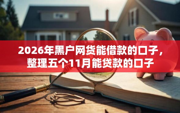 2026年黑户网货能借款的口子，整理五个11月能贷款的口子
