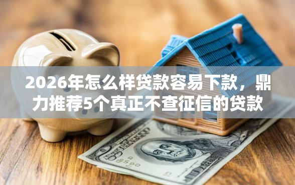 2026年怎么样贷款容易下款，鼎力推荐5个真正不查征信的贷款口子