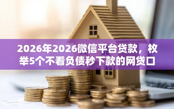 2026年2026微信平台贷款，枚举5个不看负债秒下款的网贷口子