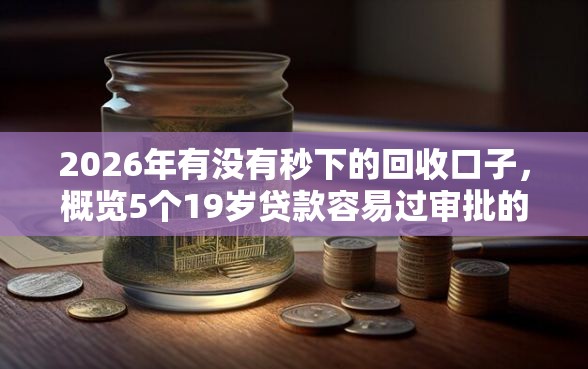 2026年有没有秒下的回收口子，概览5个19岁贷款容易过审批的软件